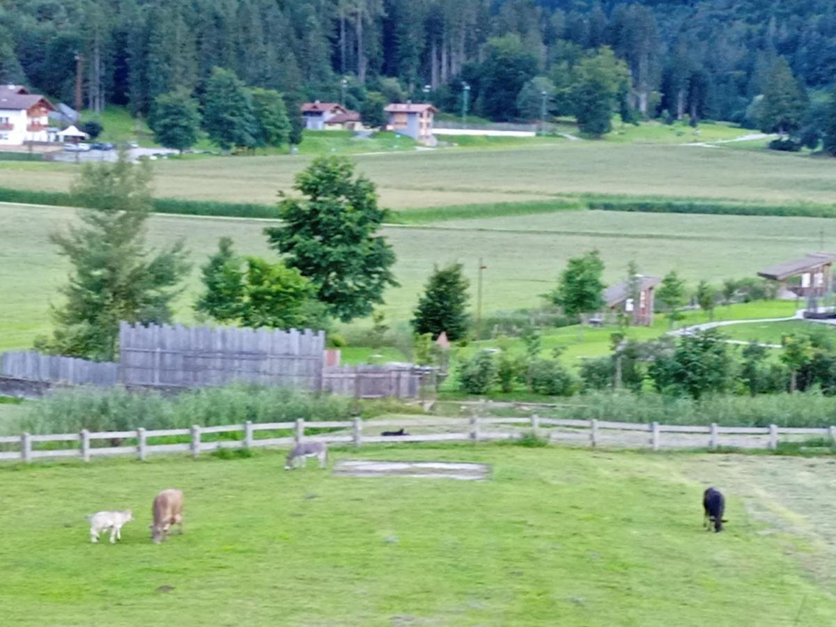 Maso Torbiera- Rural And Mountain Lodging Fiavè Esterno foto
