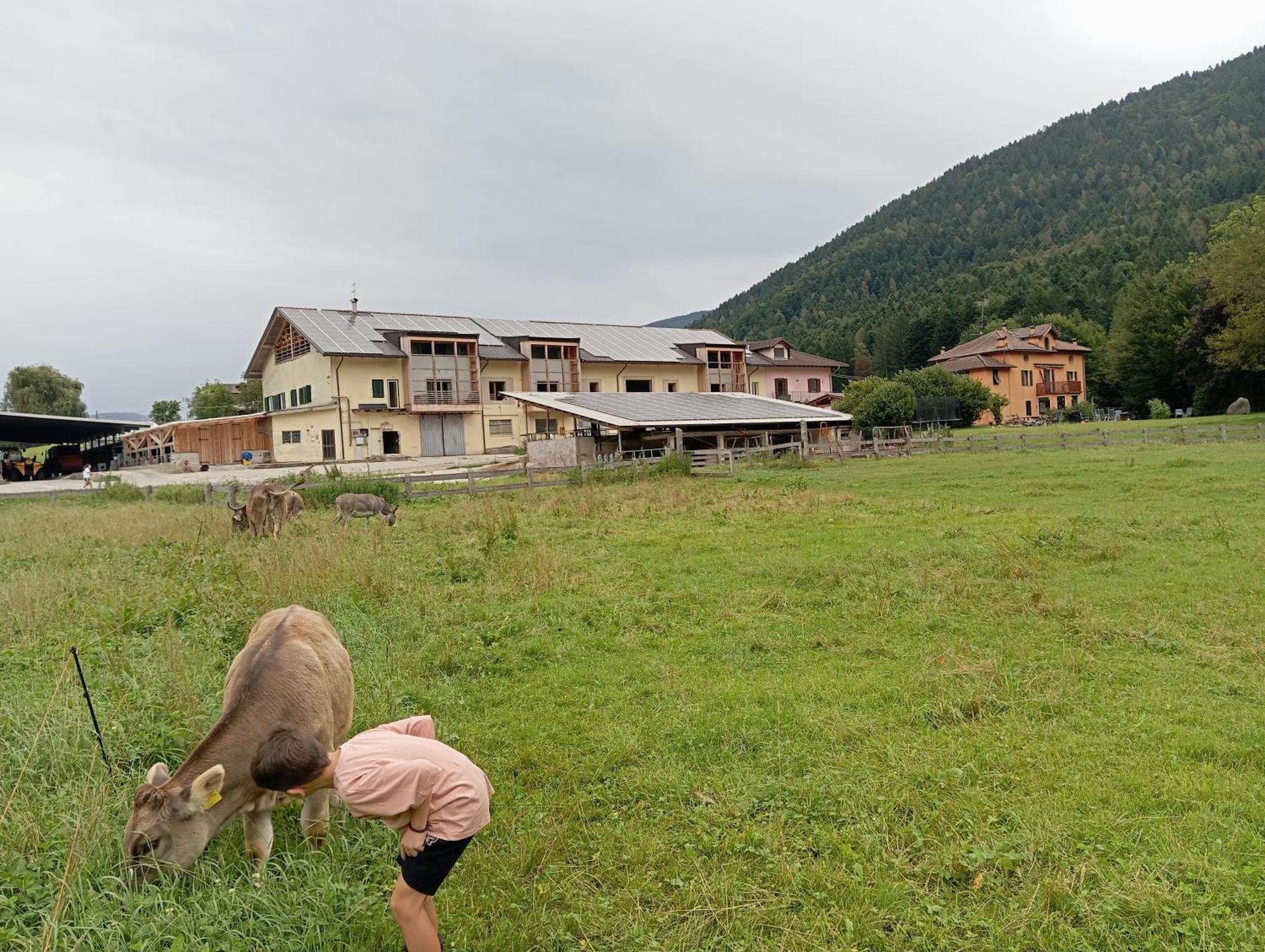 Maso Torbiera- Rural And Mountain Lodging Fiavè Esterno foto