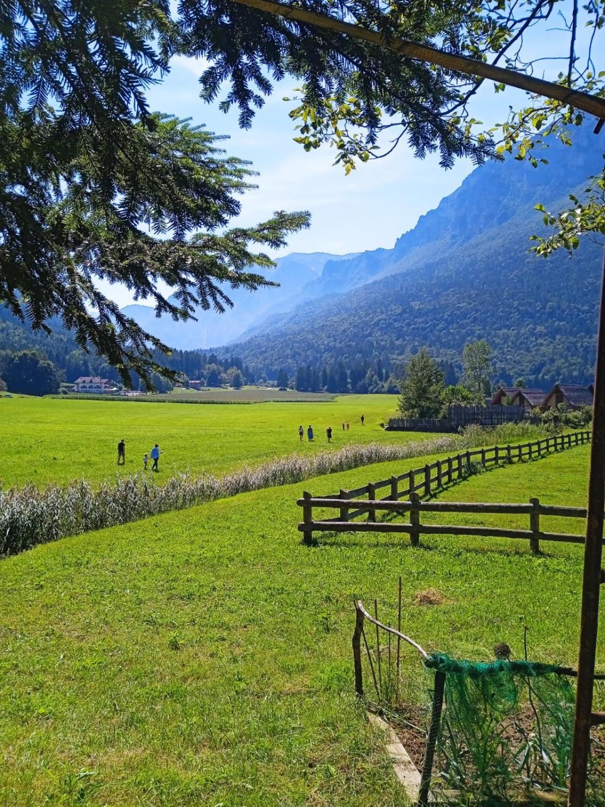 Maso Torbiera- Rural And Mountain Lodging Fiavè Esterno foto