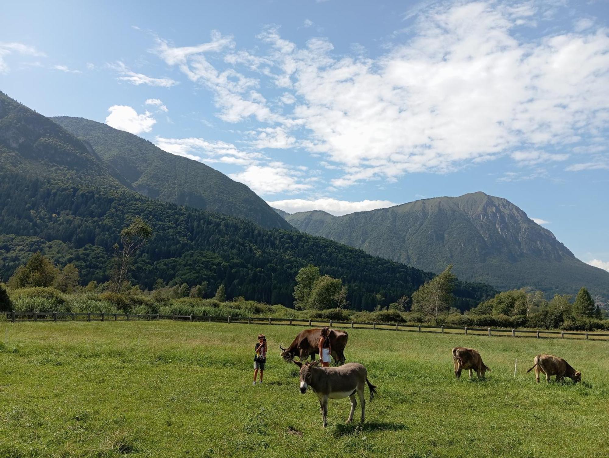 Maso Torbiera- Rural And Mountain Lodging Fiavè Esterno foto